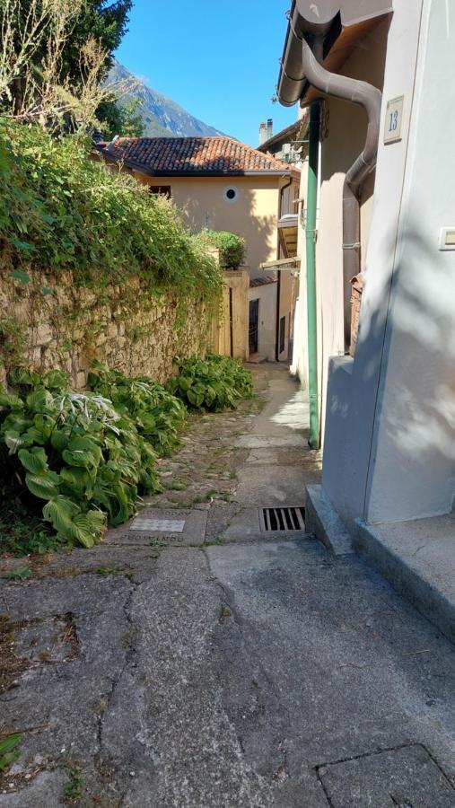 Il Vicoletto